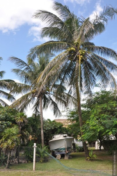 Белиз. Восторг и недоумение.