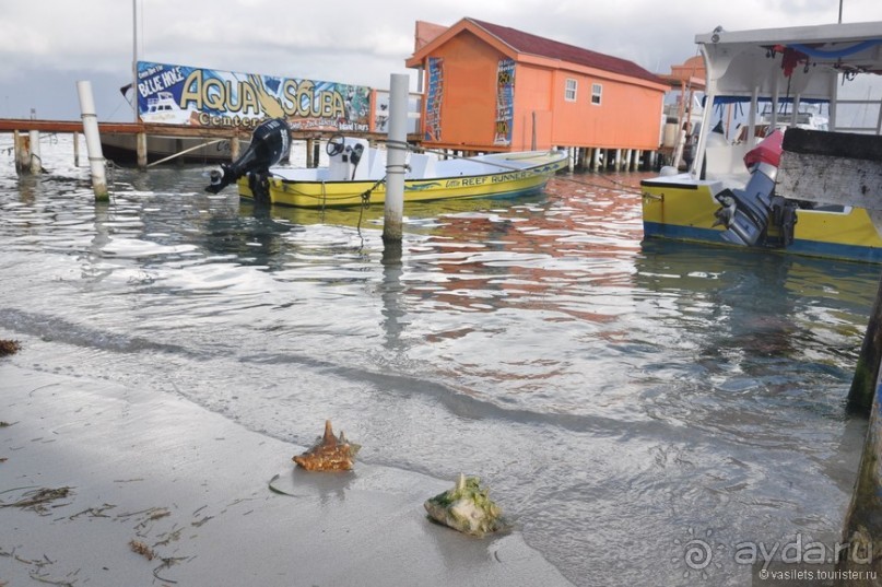 Белиз. Восторг и недоумение.