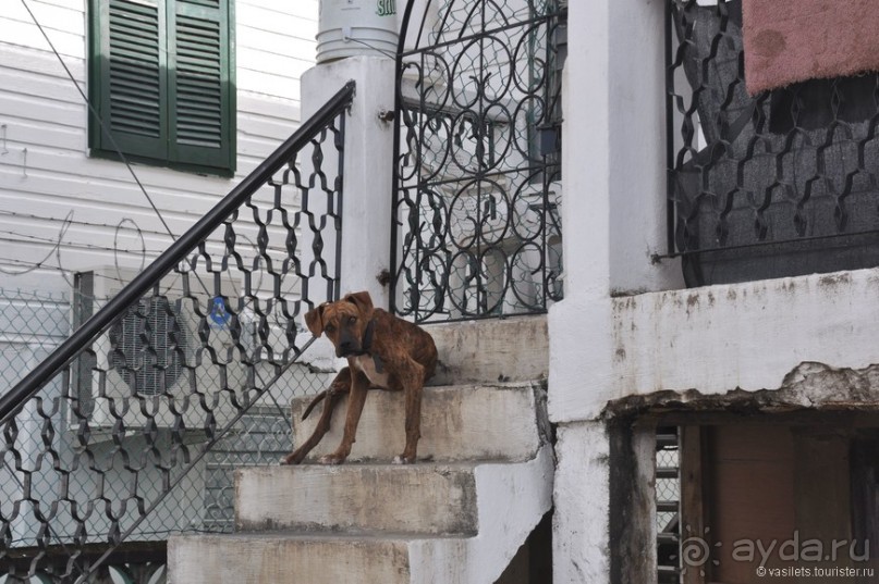 Белиз. Восторг и недоумение.