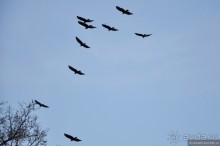 Белиз. Восторг и недоумение.