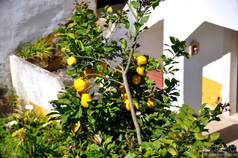 Обидуш - средневековая жемчужина Португалии