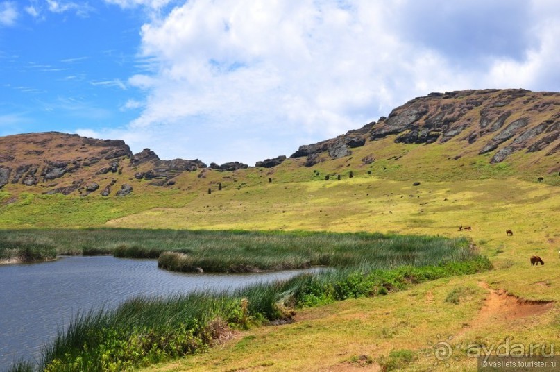 Сказки острова Пасхи