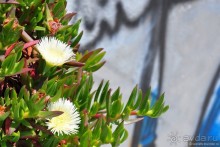 Кашкайш и Эшторил - это где?