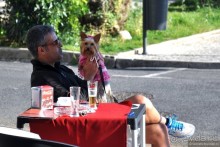 Кашкайш и Эшторил - это где?