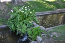 Кашкайш и Эшторил - это где?