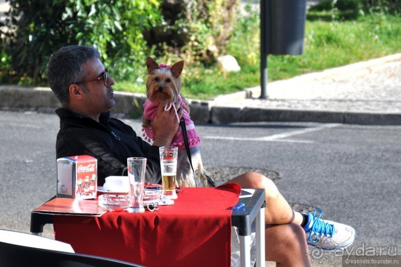 Кашкайш и Эшторил - это где?