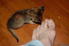 Инле — сказочное озеро в неведомой стране