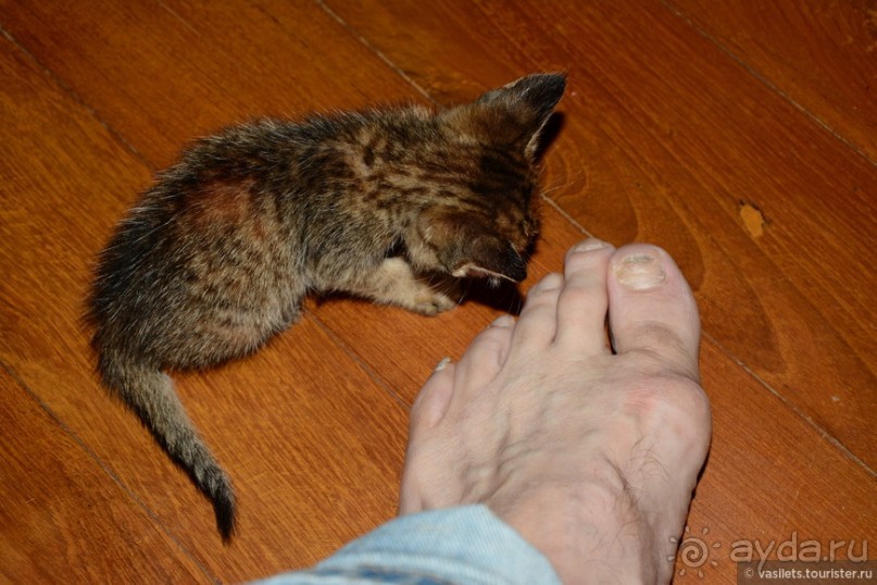 Инле — сказочное озеро в неведомой стране