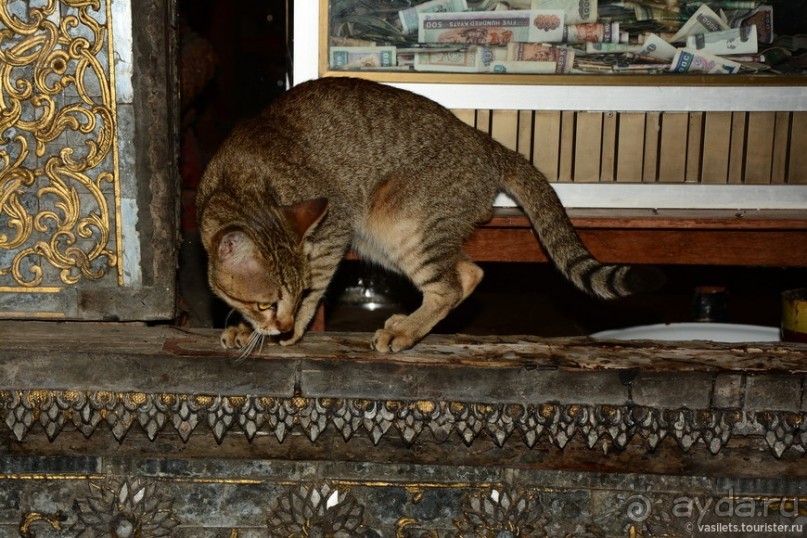 Инле — сказочное озеро в неведомой стране