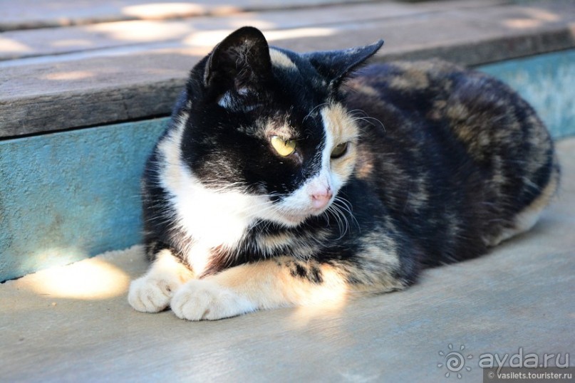 Инле — сказочное озеро в неведомой стране