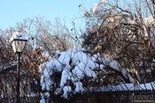 Крутицы и Новоспасский монастырь