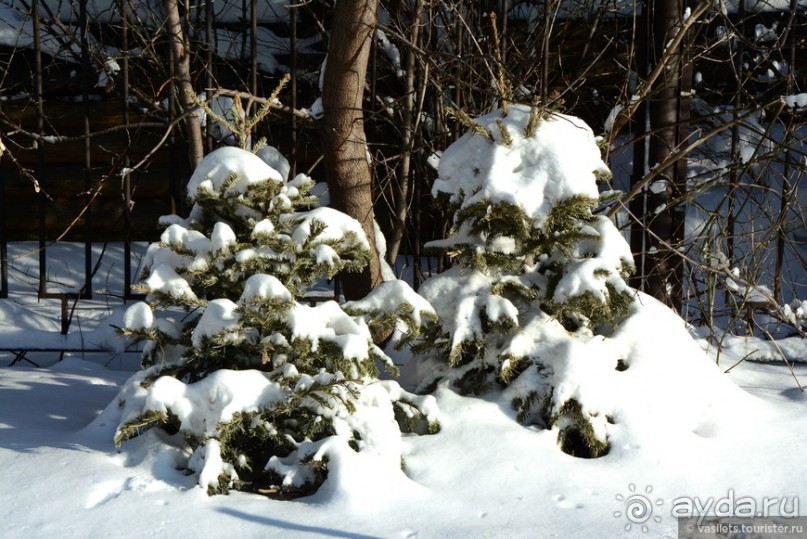 Крутицы и Новоспасский монастырь