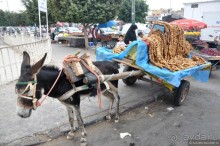 Королевство Марокко и его Агадир
