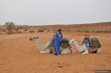 Королевство Марокко и его Агадир