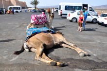 Королевство Марокко и его Агадир