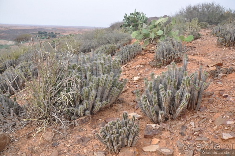 Королевство Марокко и его Агадир
