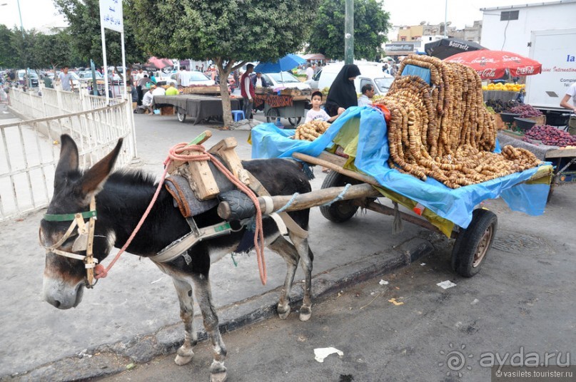 Королевство Марокко и его Агадир