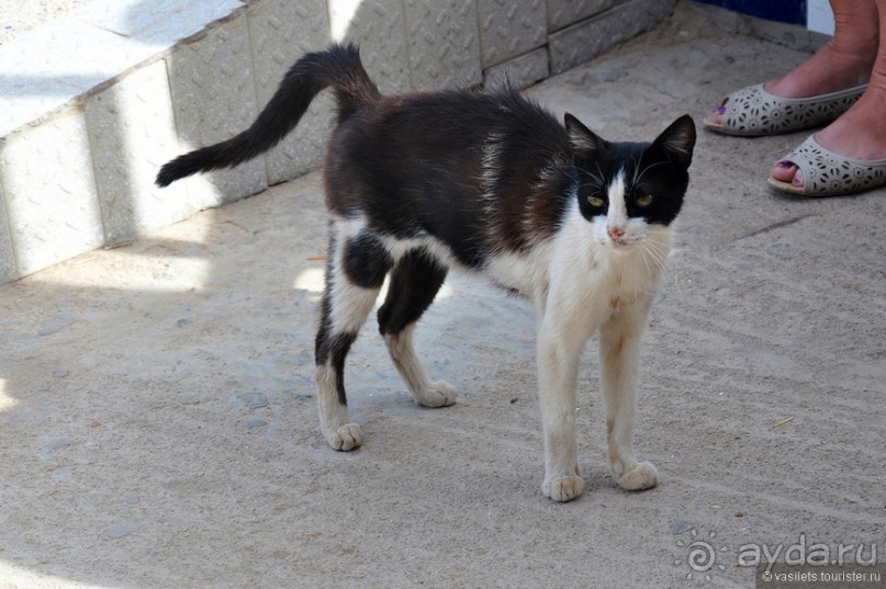 Королевство Марокко и его Агадир