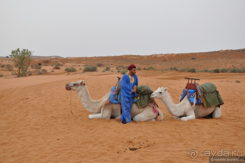 Королевство Марокко и его Агадир