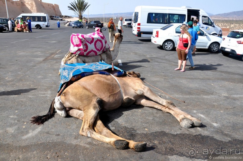 Королевство Марокко и его Агадир