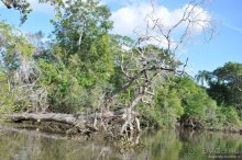 Белиз - дикие земли