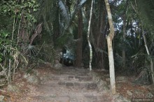 Белиз - дикие земли