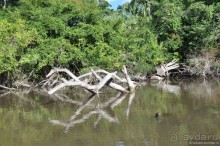 Белиз - дикие земли