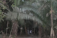 Белиз - дикие земли