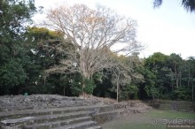 Белиз - дикие земли