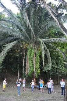 Белиз - дикие земли