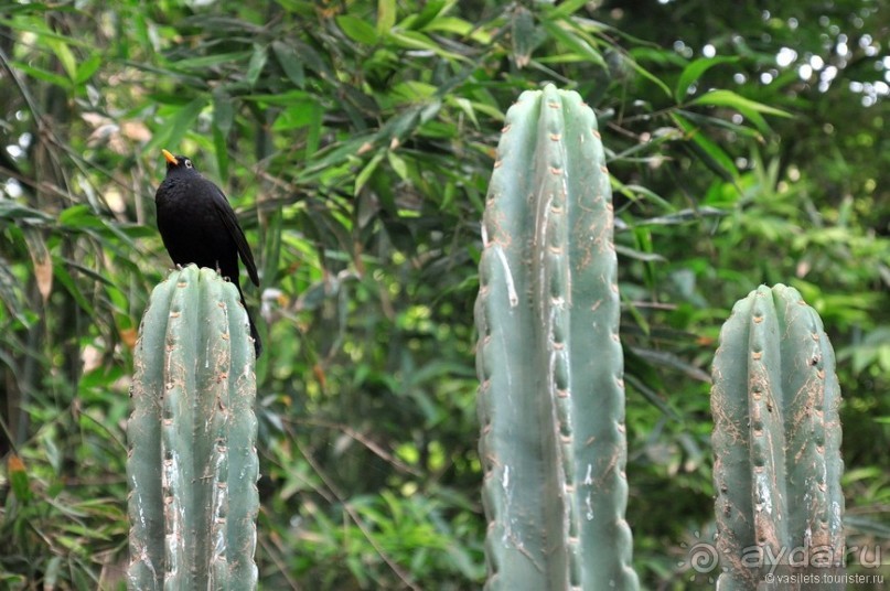 Эссуэйра-Марракеш — лучше без гида