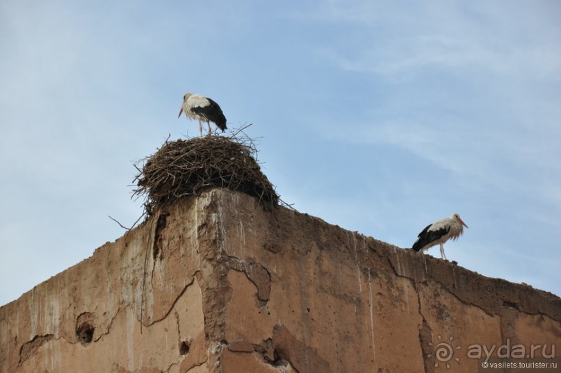 Эссуэйра-Марракеш — лучше без гида