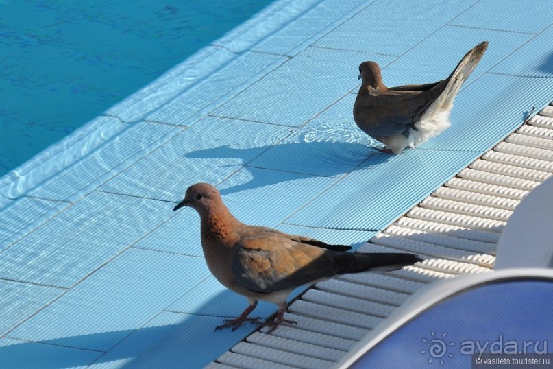 Хургада, море и песок