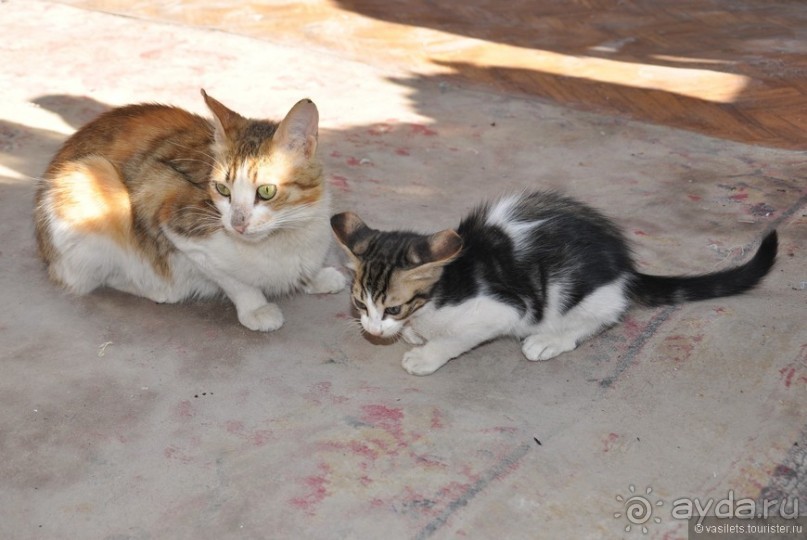 Хургада, море и песок