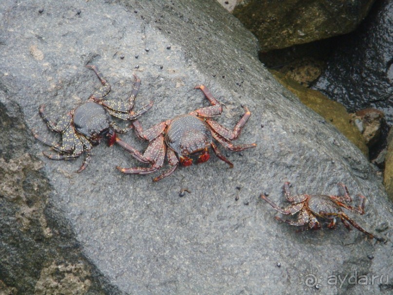 Шагнуть в бездну, и... воспарить над волнами