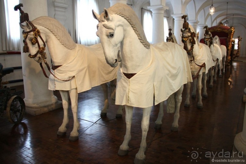 Альбом отзыва "Мюнхен. Нимфенбург зимой"