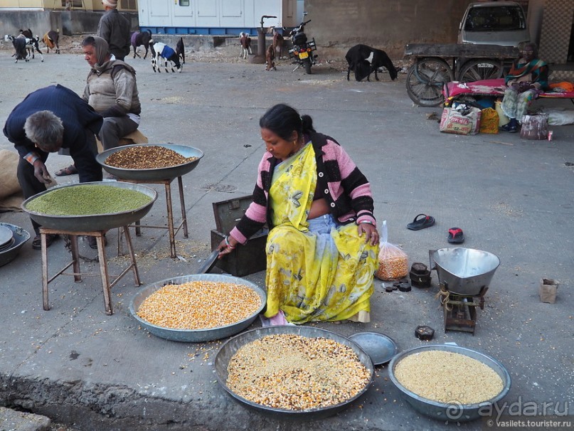 Джайпур, его дворцы и форты