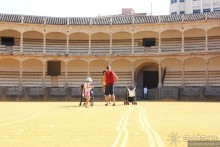 Ронда с разломом, быки и ферия