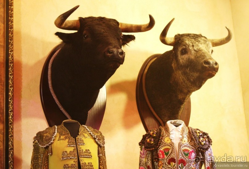 Ронда с разломом, быки и ферия