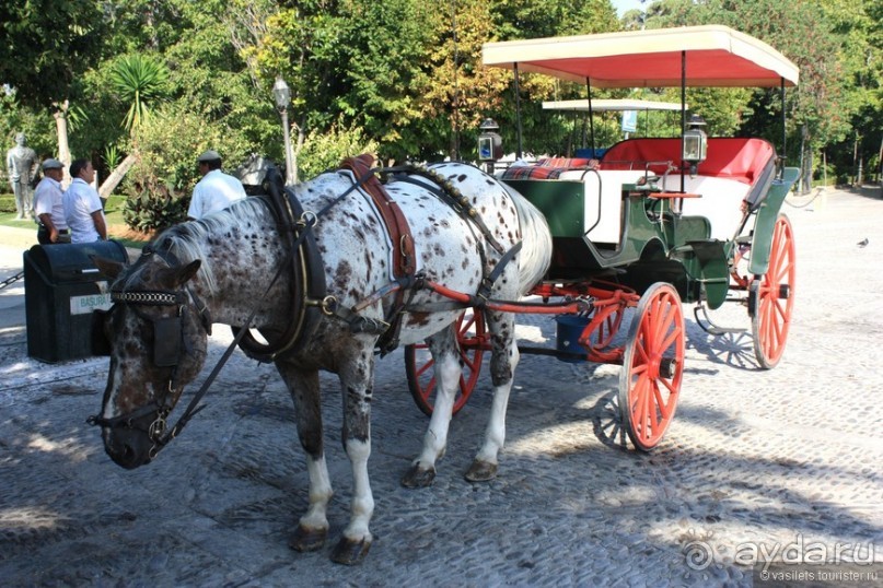 Ронда с разломом, быки и ферия