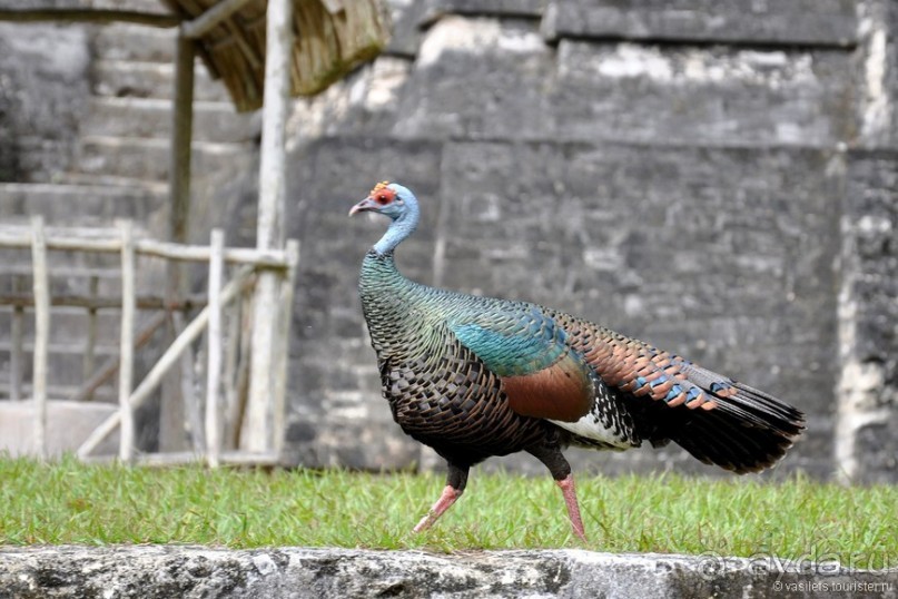 Гватемала — свободная и бедная