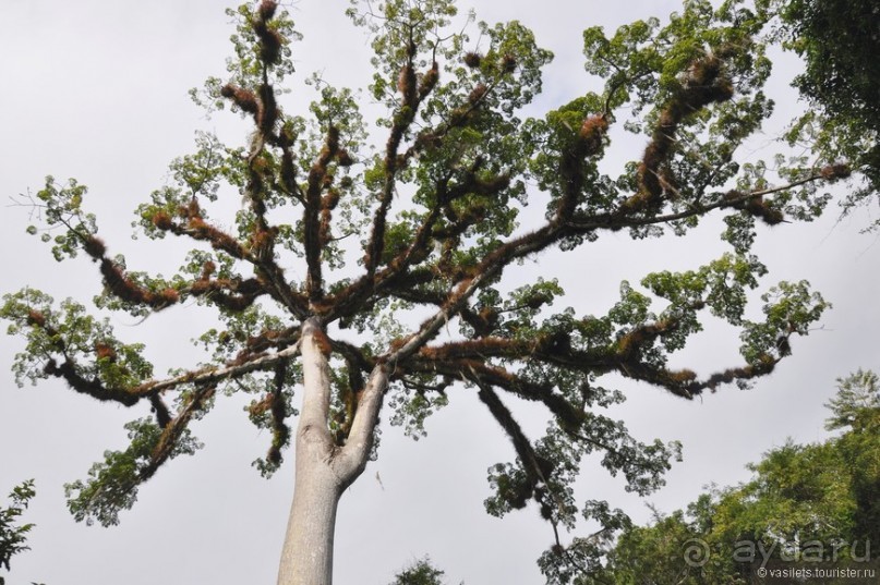 Гватемала — свободная и бедная