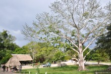 Гватемала — свободная и бедная