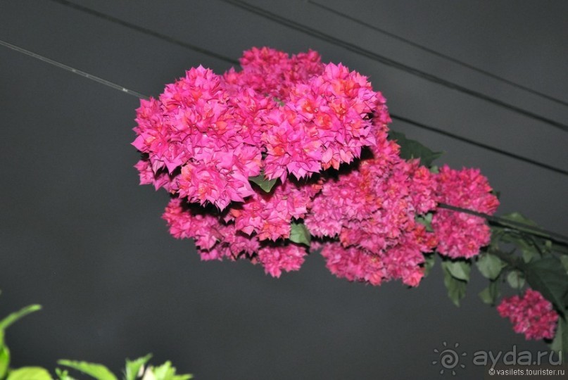 Гватемала — свободная и бедная