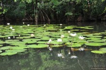 Гватемала — свободная и бедная