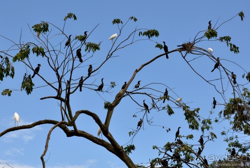 Гватемала — свободная и бедная