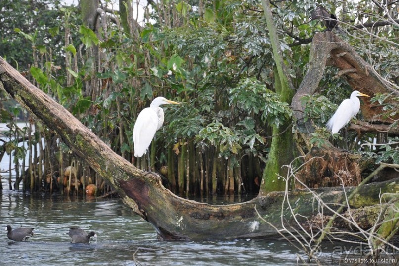 Гватемала — свободная и бедная