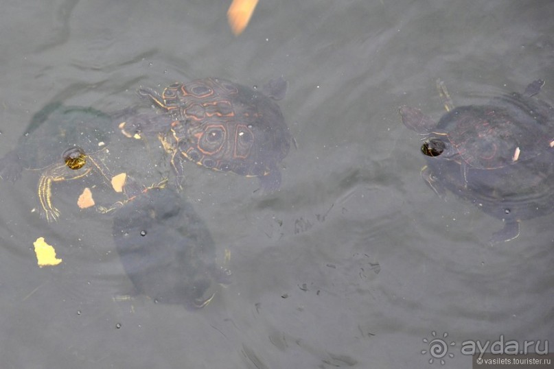 Гватемала — свободная и бедная