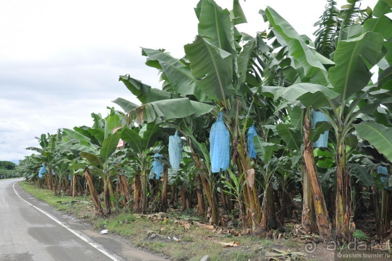 Гватемала — свободная и бедная