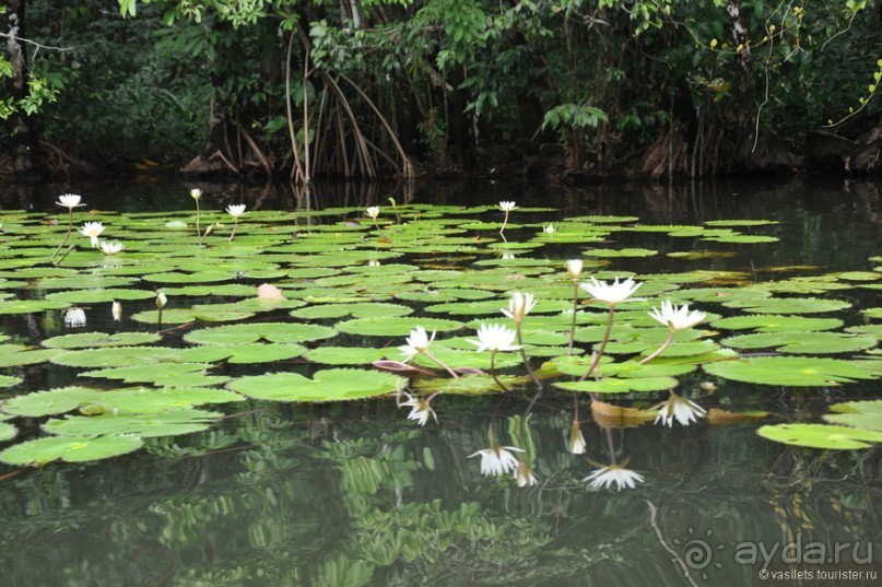 Гватемала — свободная и бедная